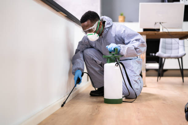 Best Residential Pest Control  in Crest View Heights, NY